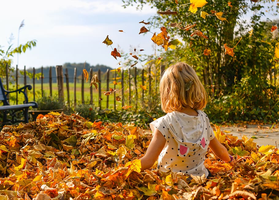 girl, playing, leaves, autumn, happy, fun, childhood, kid, young