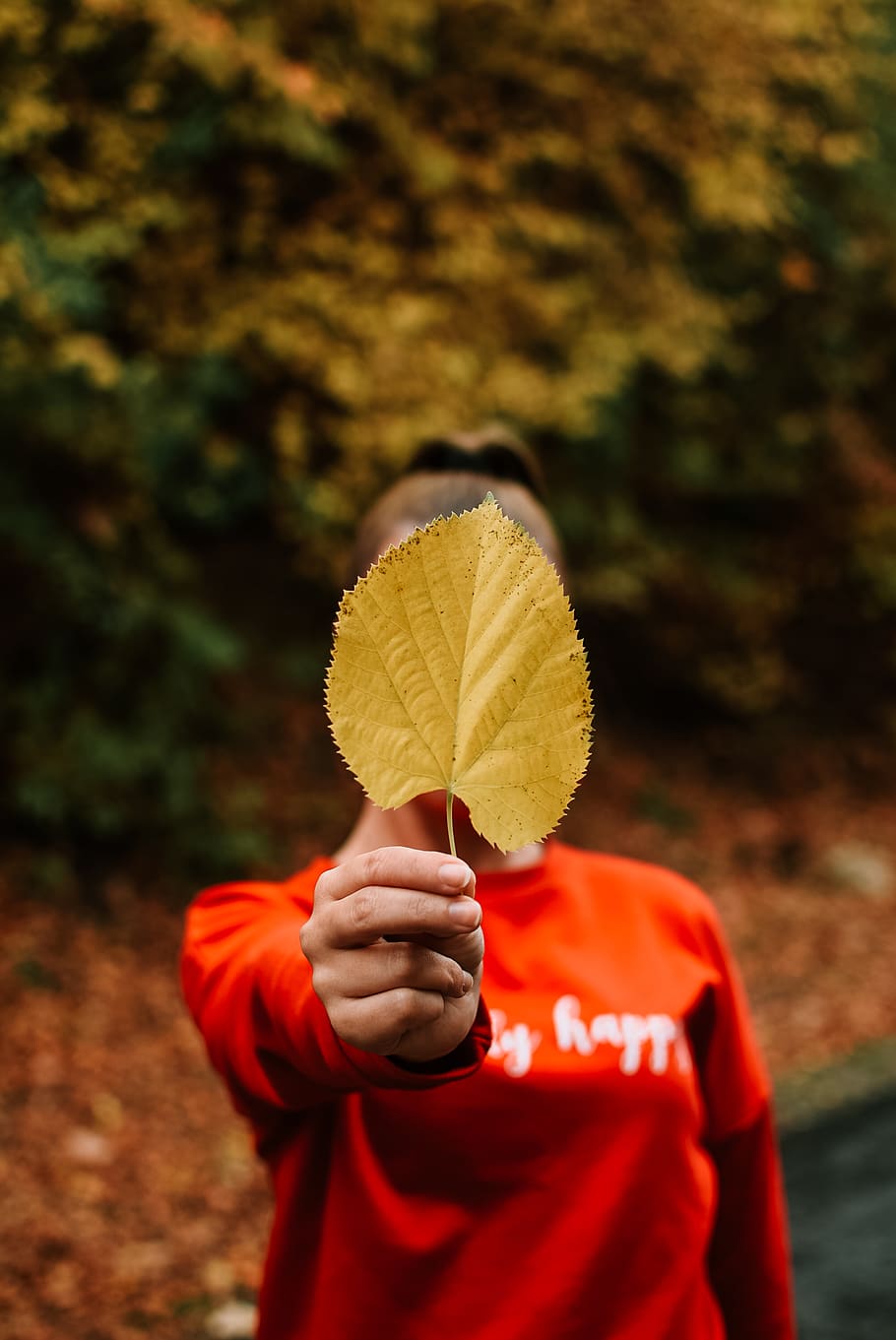 Woman Covering Face and Holding Brown Leaf, blurred background HD wallpaper