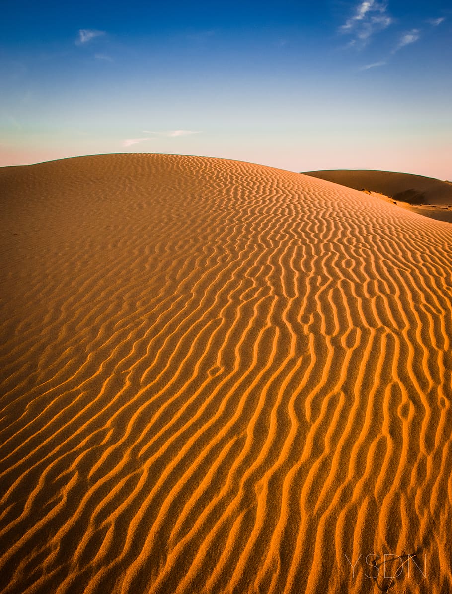 empty desert, soil, sand, nature, outdoors, dune, india, unnamed road HD wallpaper
