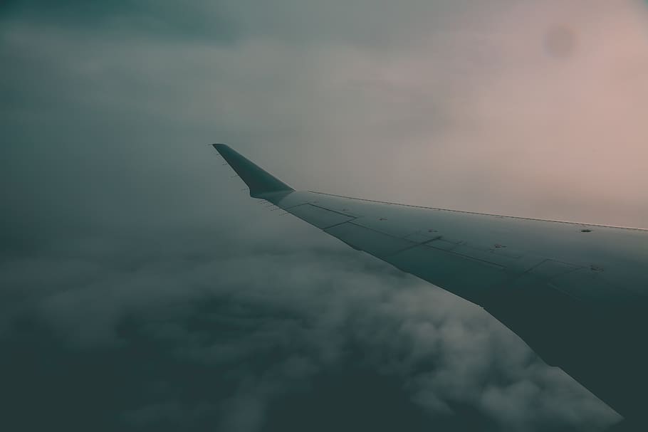 american airline, cloud, plane, sky, cloud - sky, airplane, HD wallpaper