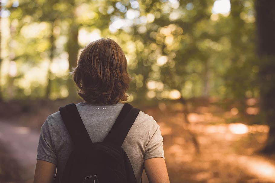 gray t-shirt, man, forest, walking, explore, woodland, nature HD wallpaper
