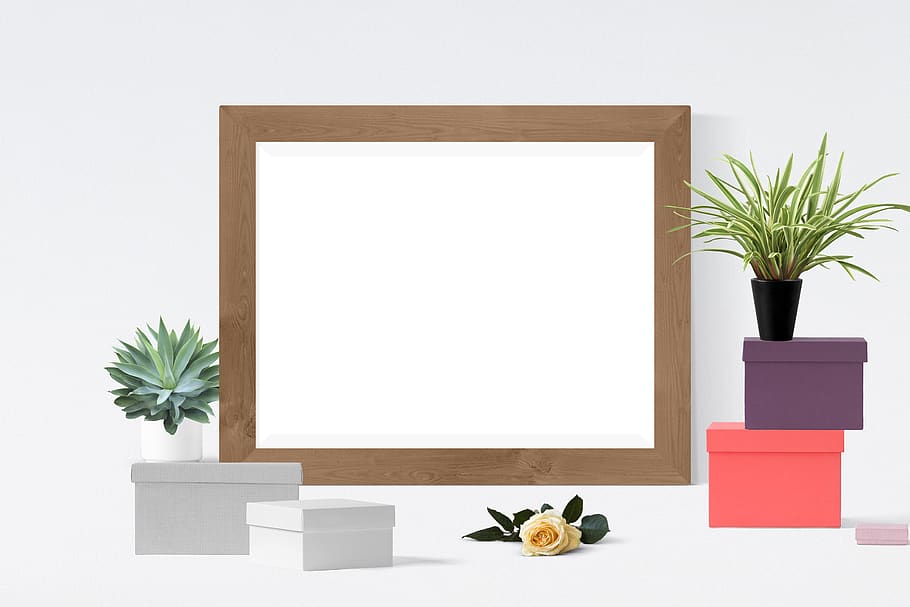 poster, frame, boxes, plants, no people, indoors, nature, copy space HD wallpaper