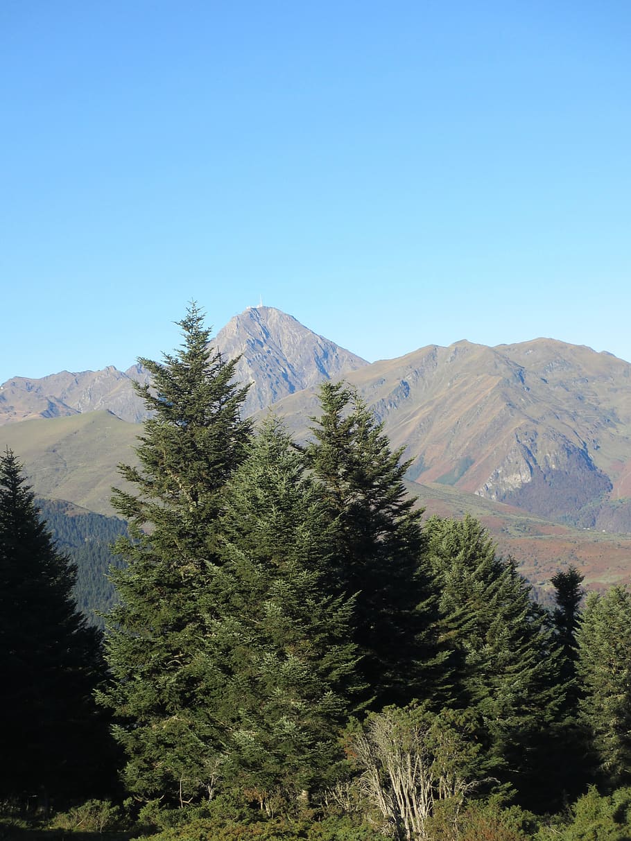 payolle, pyrénées, mountain, tree, plant, tranquil scene HD wallpaper