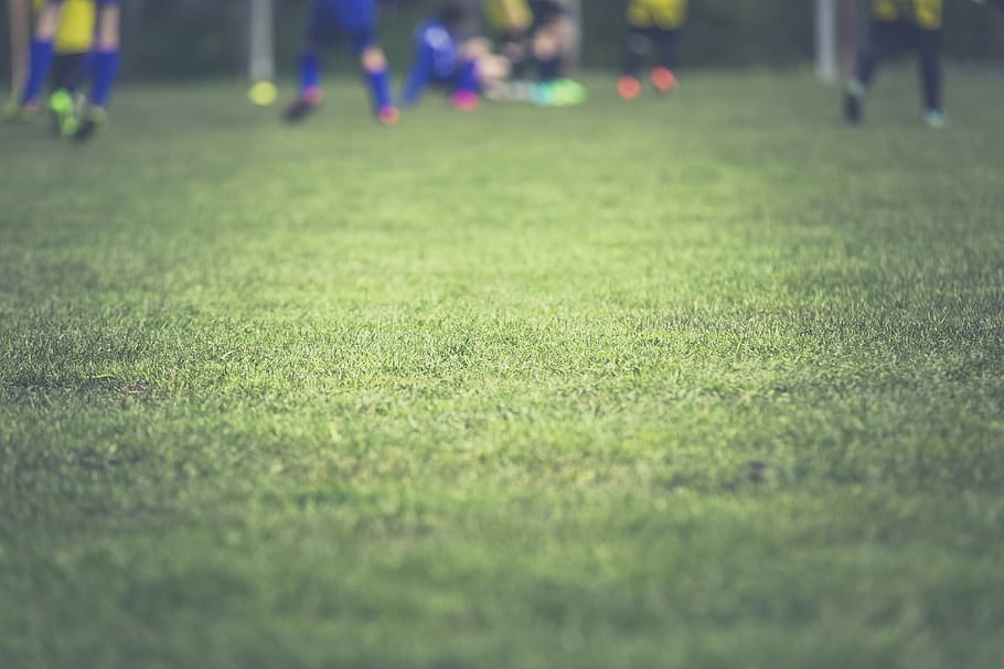 People Playing Soccer on Soccer Field during Daytime, game, grass HD wallpaper