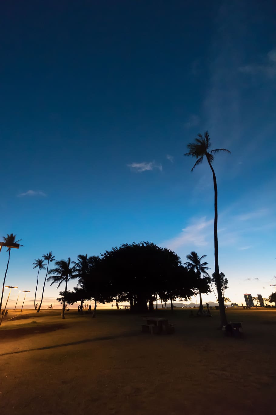 hawaii, trees, magic, magic island, sky, palm tree, honolulu HD wallpaper