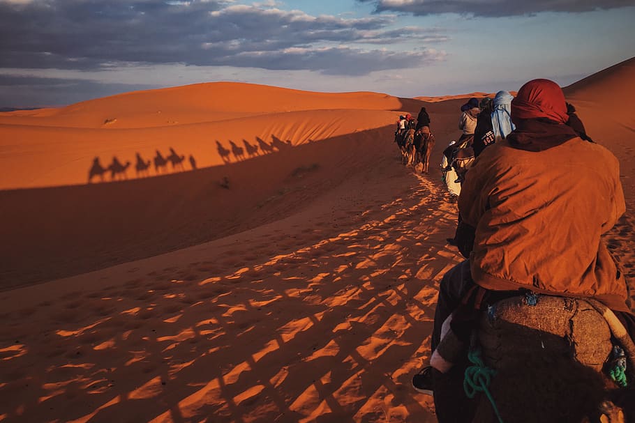 morocco, sahara desert, land, sand, sand dune, scenics - nature HD wallpaper