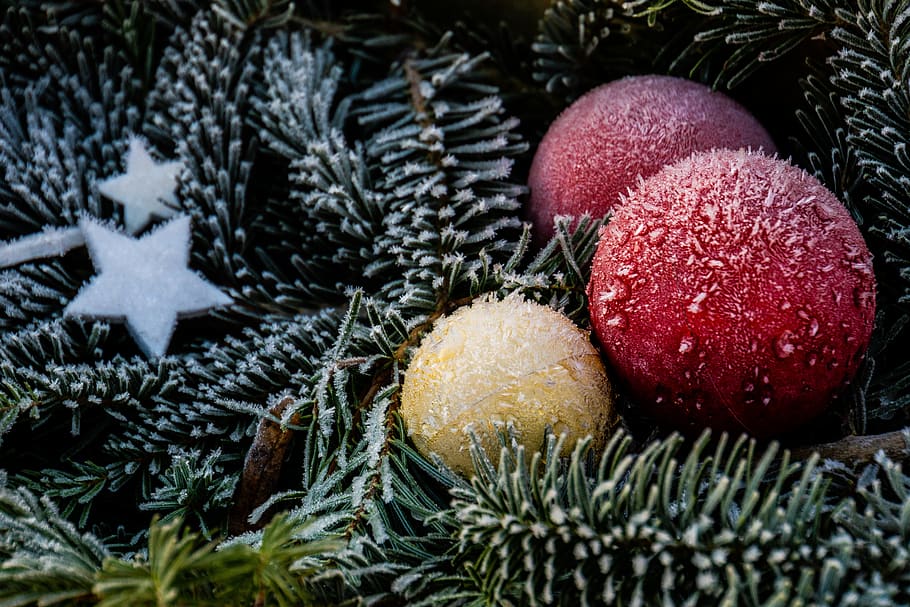frost, nature, frozen, cold, eiskristalle, ice, winter magic HD wallpaper