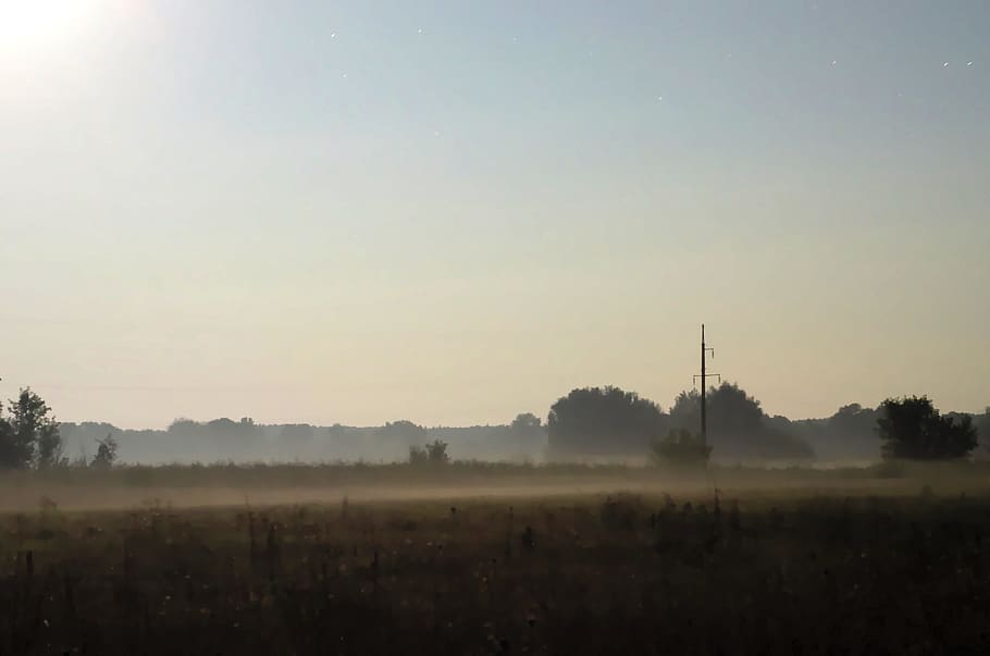 fog, field, night, nature, ukraine, sky, scenics - nature, environment HD wallpaper