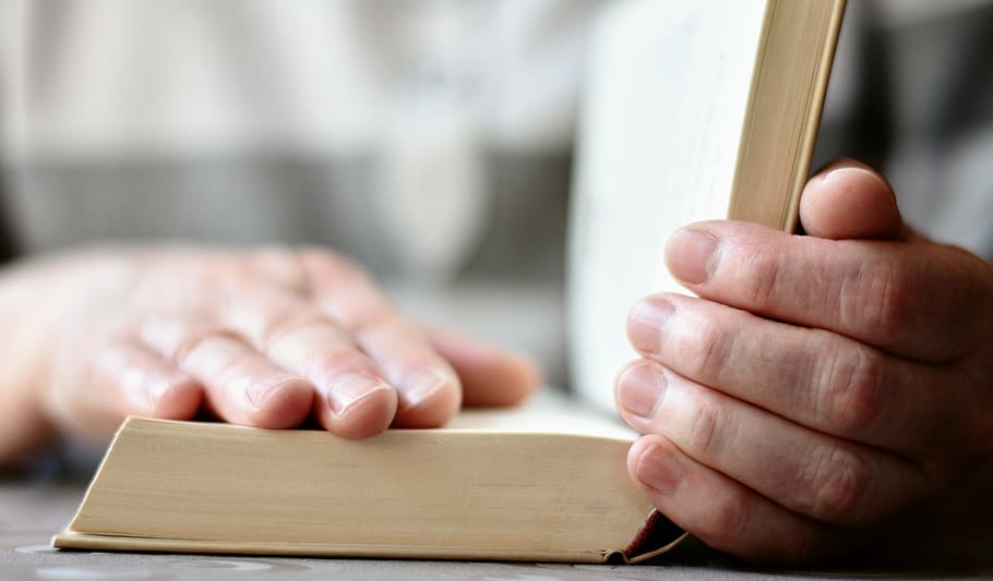hands, book, read, open book, bible, literature, book pages HD wallpaper