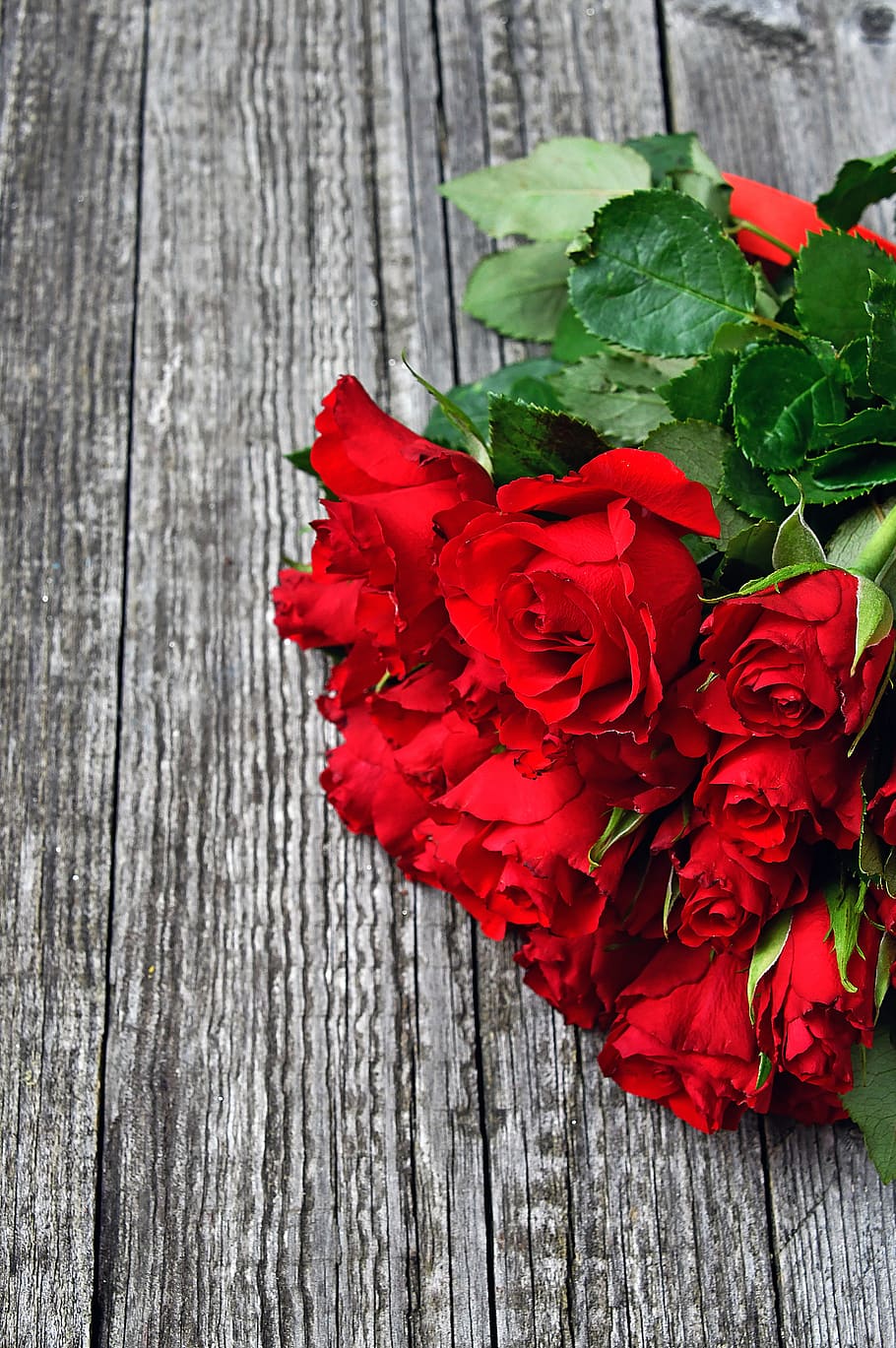 Online Crop Hd Wallpaper Red Red Rose Love Romantic Roses Nature Romance Beauty 7773