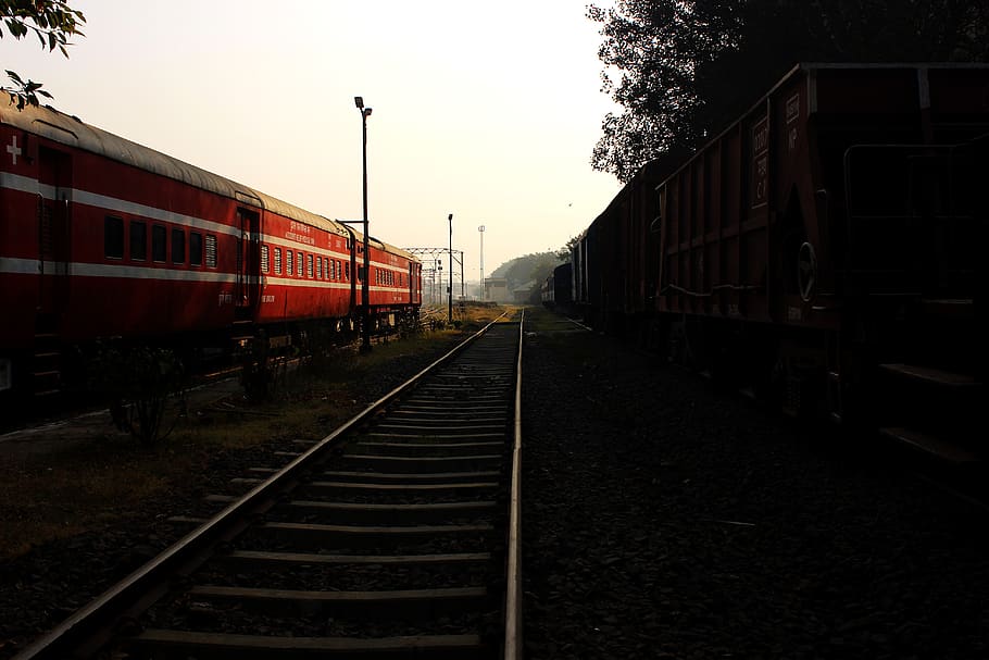 trains, trees, rail transportation, track, railroad track, mode of transportation HD wallpaper