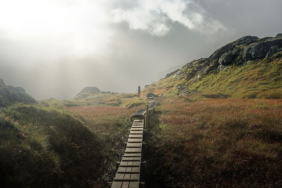 building, bridge, outdoors, nature, scenery, landscape, boardwalk HD wallpaper