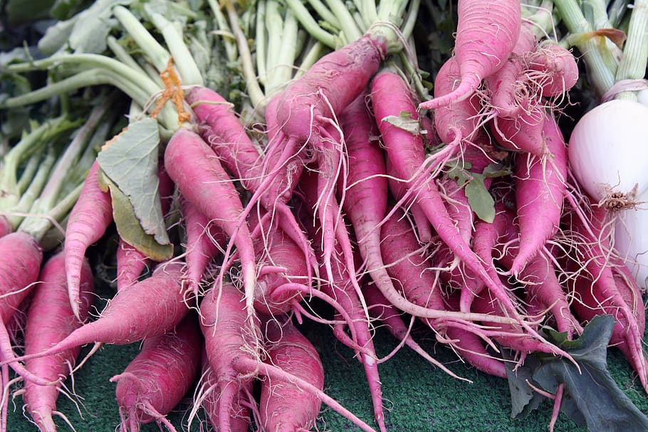 carrot, parsnip, farmers, market, vegetable, turnip, nutrition