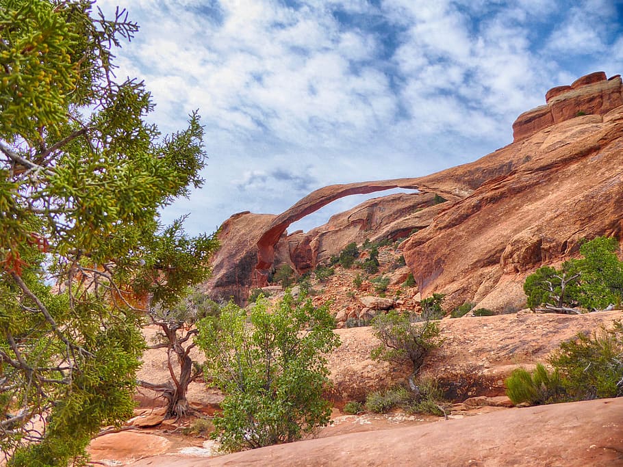 Green Trees Near Brown Canyon, desert, landscape, mountain, rock formation HD wallpaper