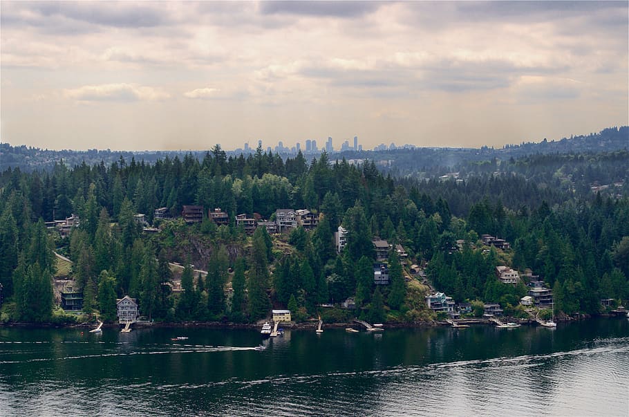 canada, north vancouver, trees, forest, building, water, plant