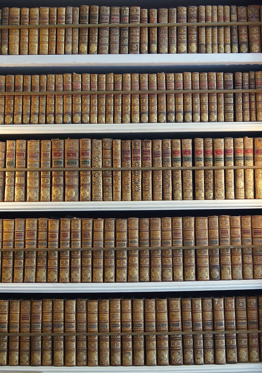 library, book, stock, shelf, paper, publication, in a row, bookshelf HD wallpaper