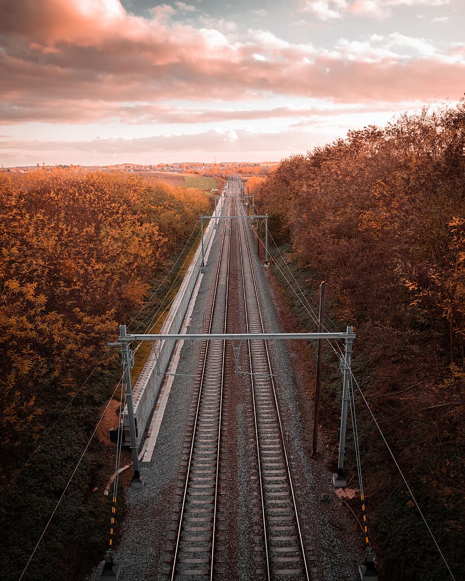 Train Track Between Dried Forest, clouds, dawn, evening, guidance HD wallpaper