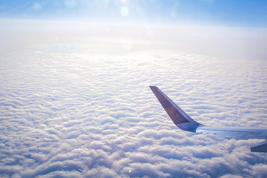 plane, flight, travel, soft, white, blue, airplane, sky, aviation HD wallpaper