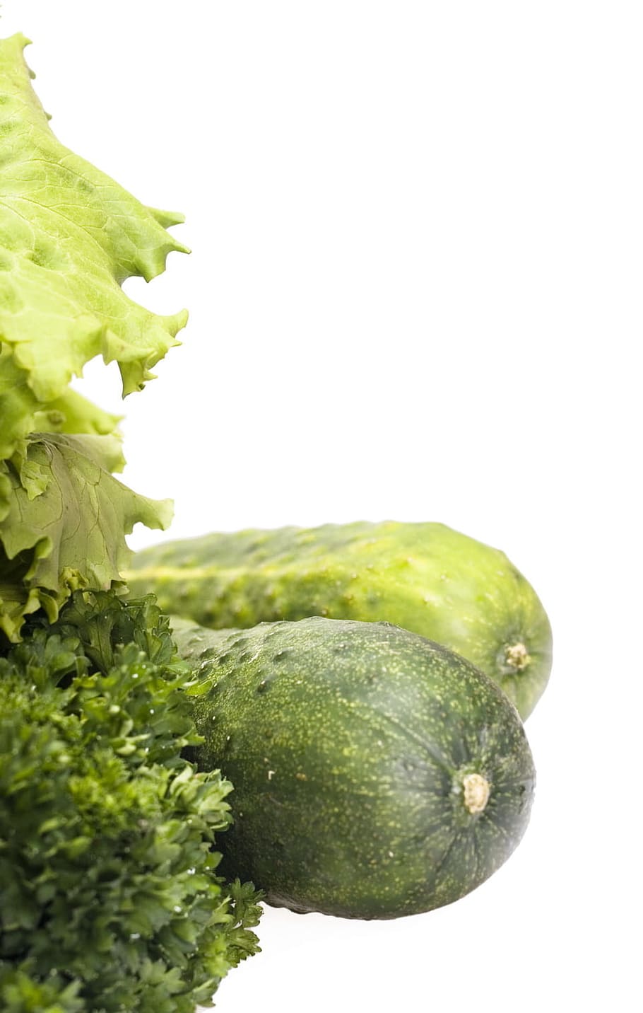 closeup, cucumber, diet, eat, food, fresh, green, health, healthy HD wallpaper