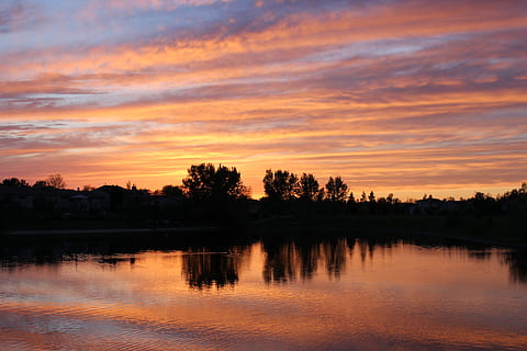 canada, winnipeg, sunset, trees, water, ducks, sky, reflection HD wallpaper