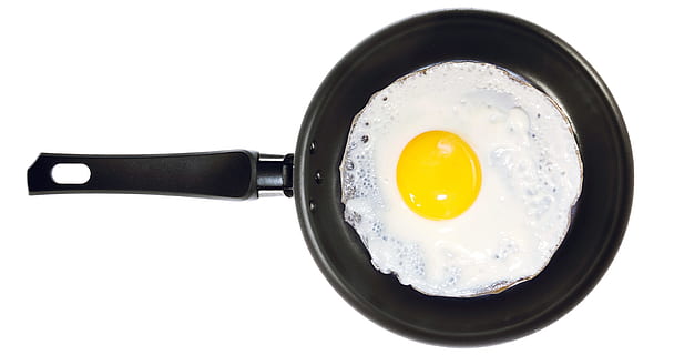 background, bird, boiled, breakfast, calorie, chicken, cholesterol HD wallpaper