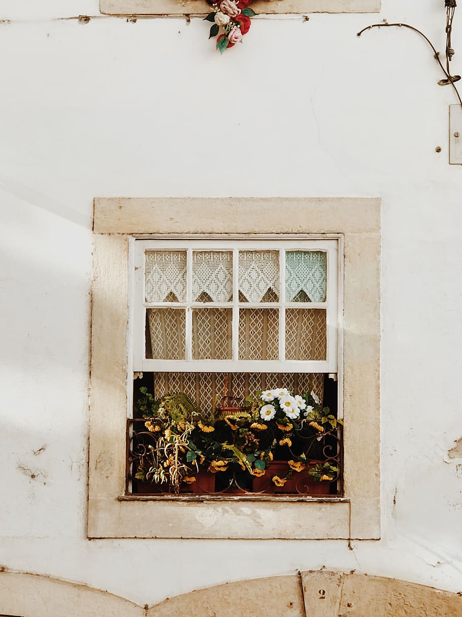 White Wooden Window, plant, wall, architecture, built structure HD wallpaper