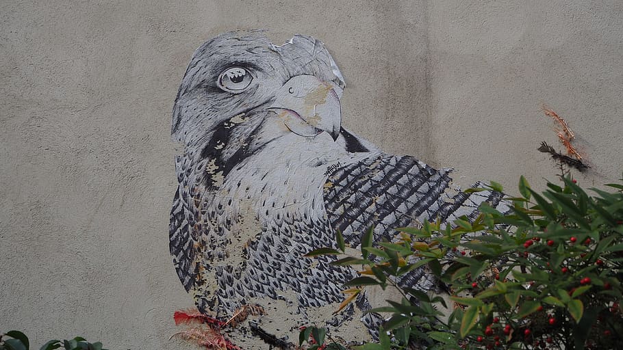 france, grenoble, art and craft, representation, bird, statue HD wallpaper