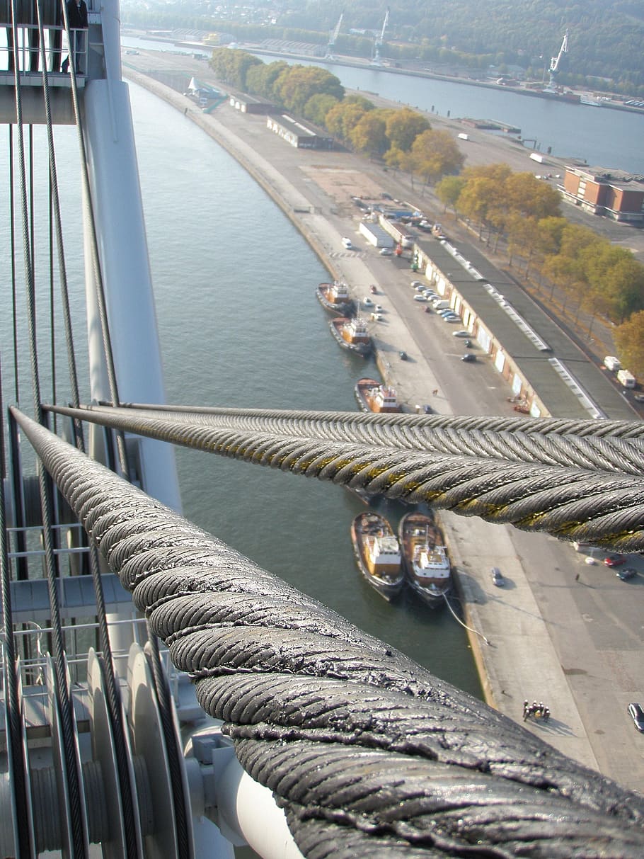 rouen, bridge, flaubert, cables, landscape, transportation HD wallpaper