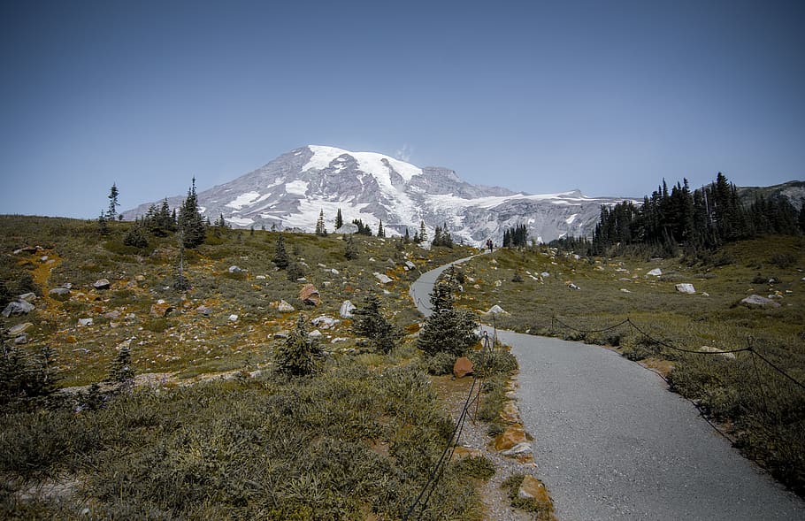 empty road, #hiking, #trail, #mountain #snowcap #washington #paradise #mountrainier #nationalpark #nps #america #nature HD wallpaper