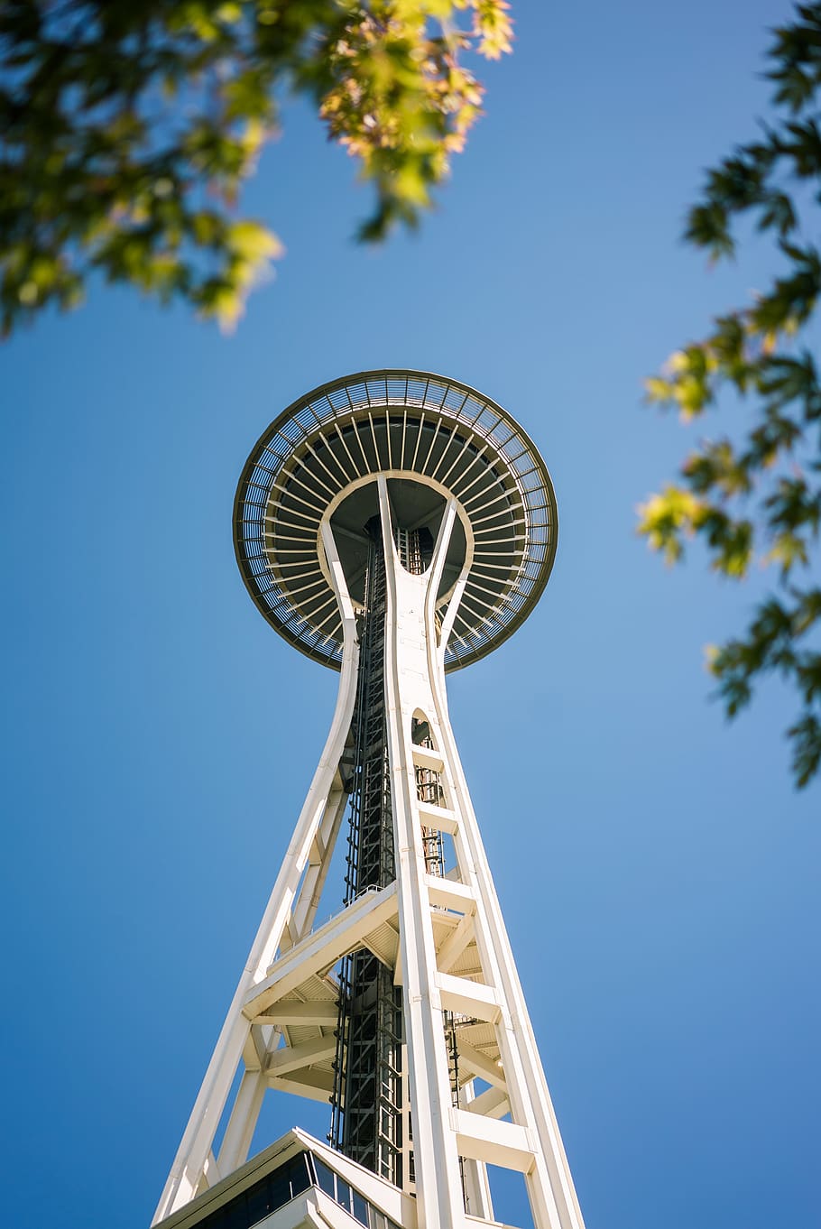 Space Needle, Seattle, low angle view, sky, clear sky, nature HD wallpaper