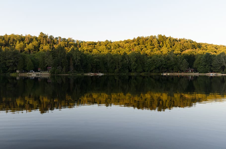 kanada, dwight, forest, lake, water, reflection, summer, sun HD wallpaper