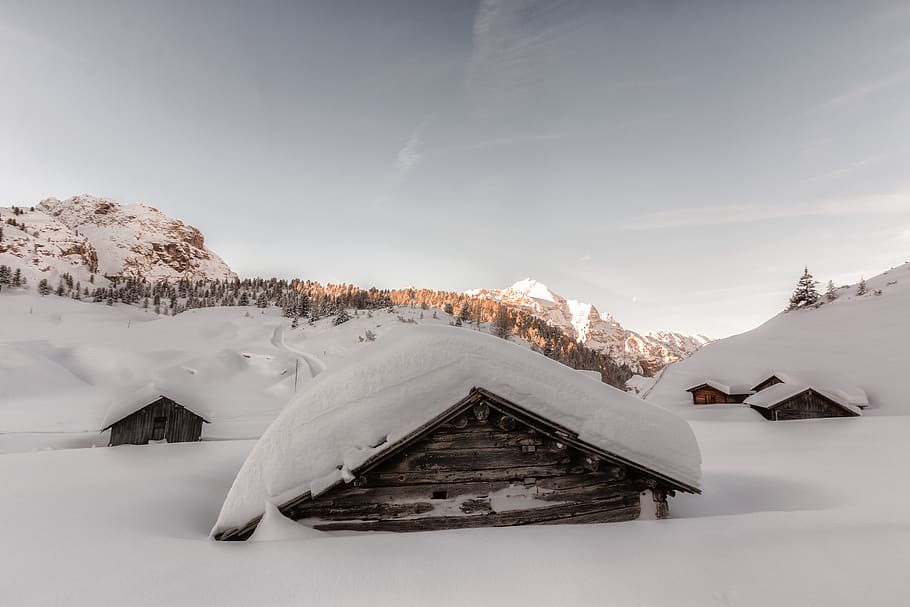 Brown Wooden Houses Covered in Snow at Daytime, cold, dawn, daylight HD wallpaper