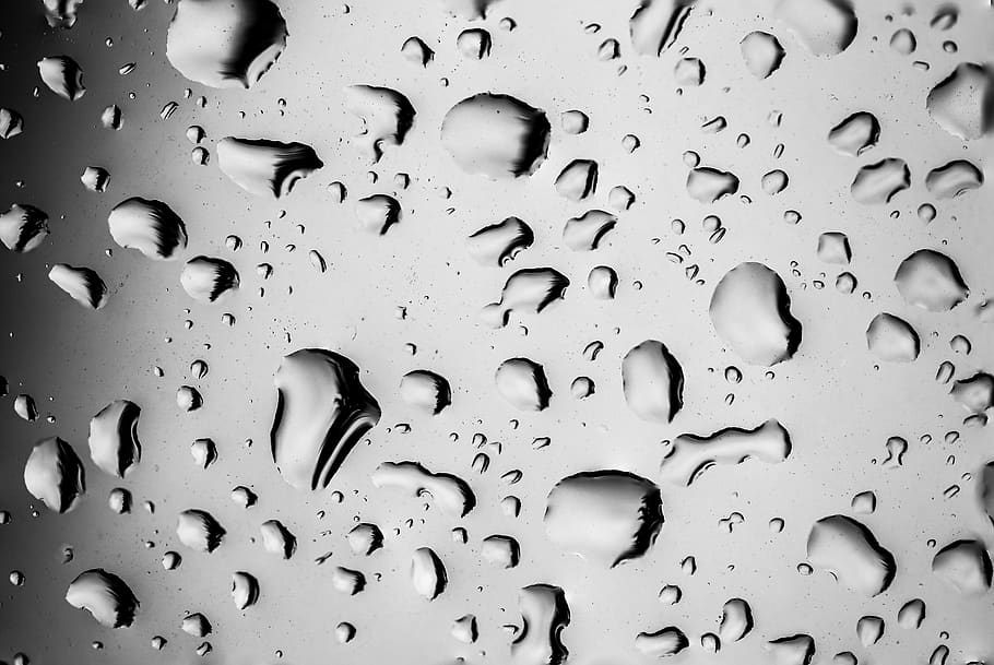 raindrop, drip, wet, nature, drop of water, droplets, beaded HD wallpaper