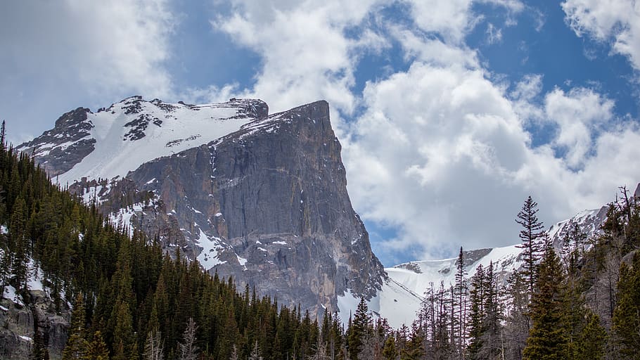 snowy mountain, cliff, mountian, mountain peak, pine trees, HD wallpaper
