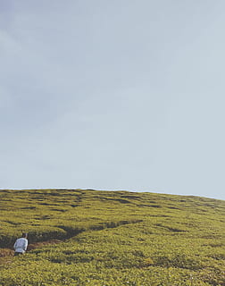 indonesia, bogor, sky, land, tranquil scene, environment, landscape HD wallpaper