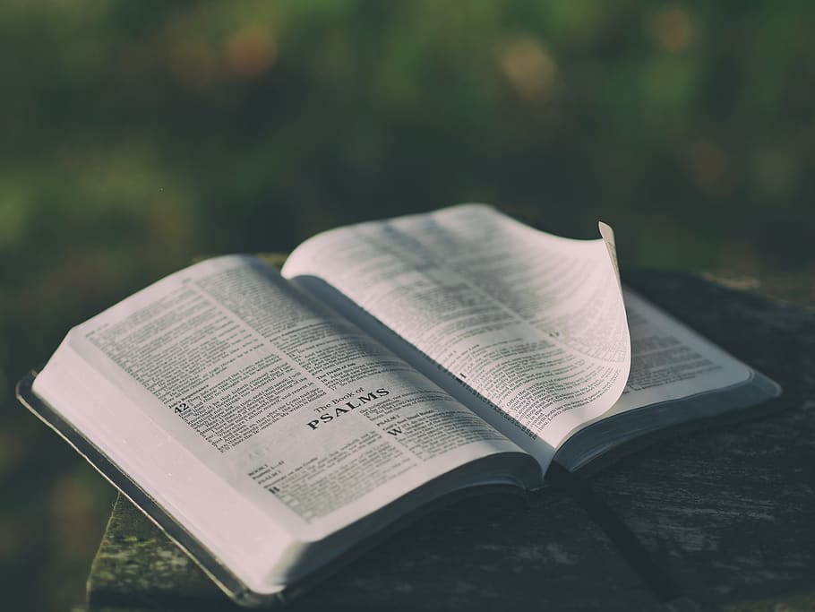 still, items, things, book, bible, psalms, pages, open, leaves HD wallpaper