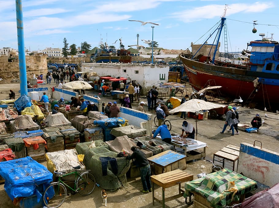 morocco, essaouira, harbor, fish, market, street, life, ship HD wallpaper
