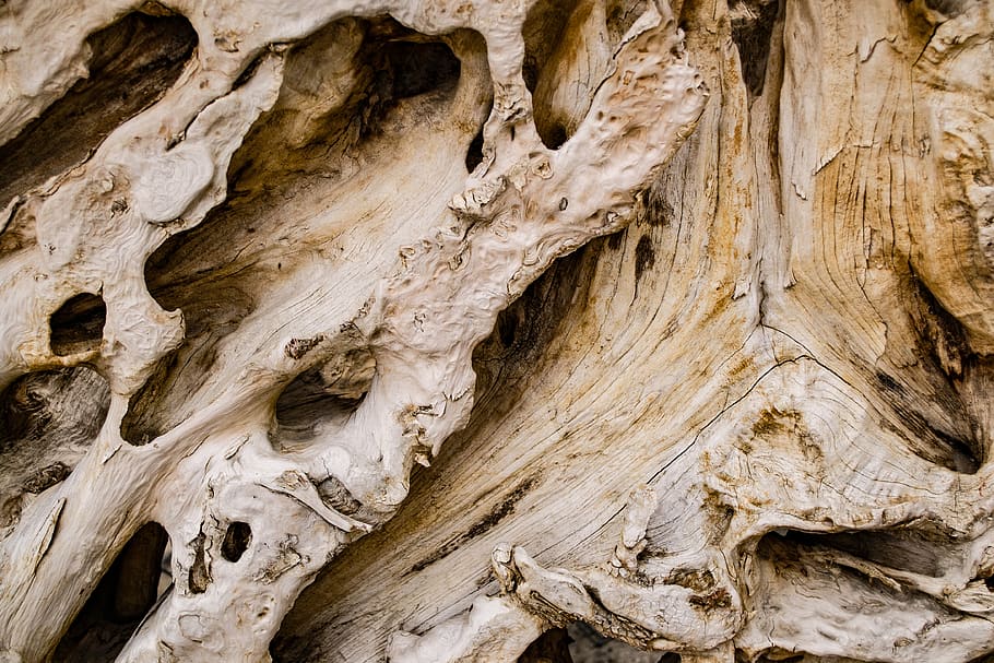Beige Wood Decor, texture, tree, tree trunk, no people, full frame HD wallpaper