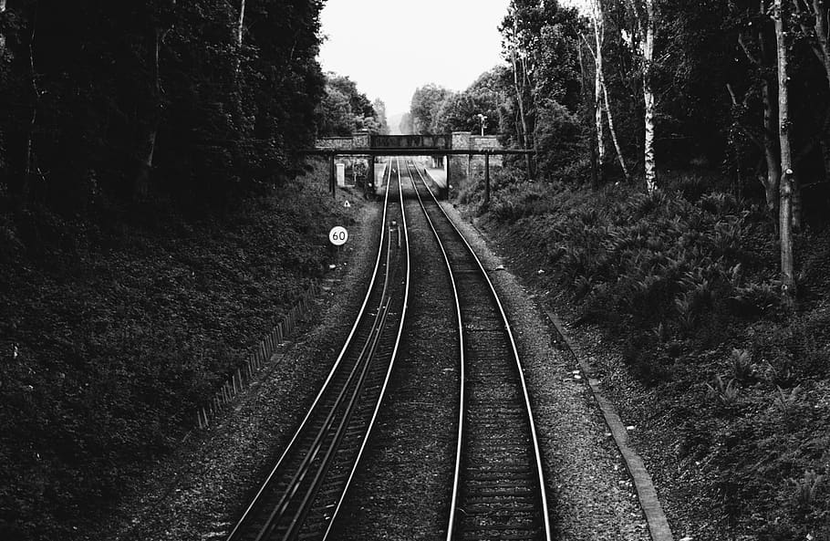 train, tracks, urban, parallel, bridge, transport, travel, tree HD wallpaper