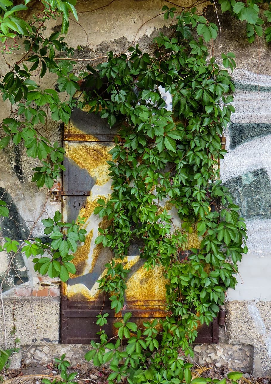 door, building, old, ruin, construction, architecture, keep HD wallpaper