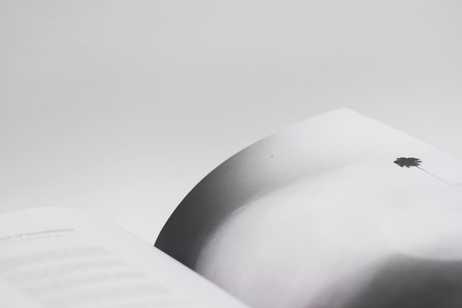 minimal, book, publishing, surfing, fog, ocean, tree, nature HD wallpaper