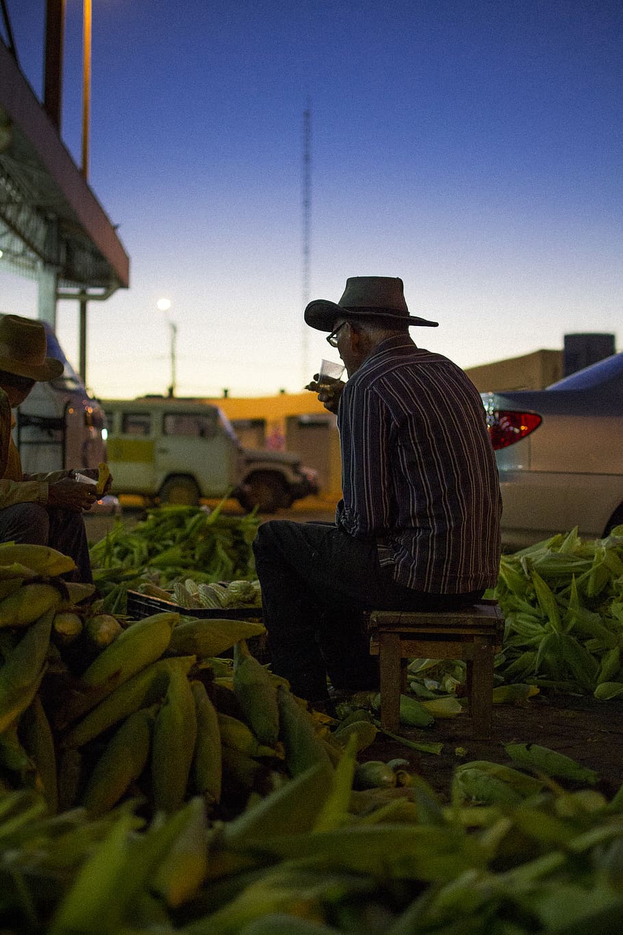 work, farmer, corn, market, man, sky, sunrise, summer, sunset HD wallpaper