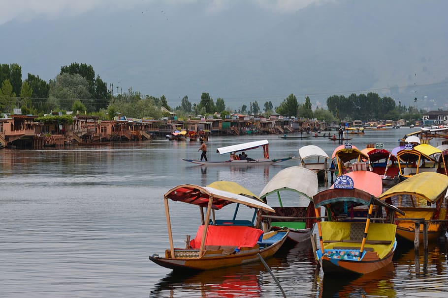 srinagar, india, kashmir, travel, landscape, water, boats, houseboats