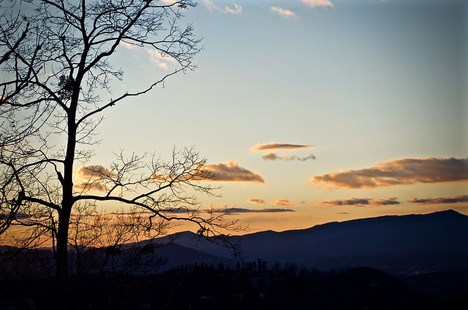 sky, sunset, tree, silhouette, beauty in nature, mountain, scenics - nature HD wallpaper
