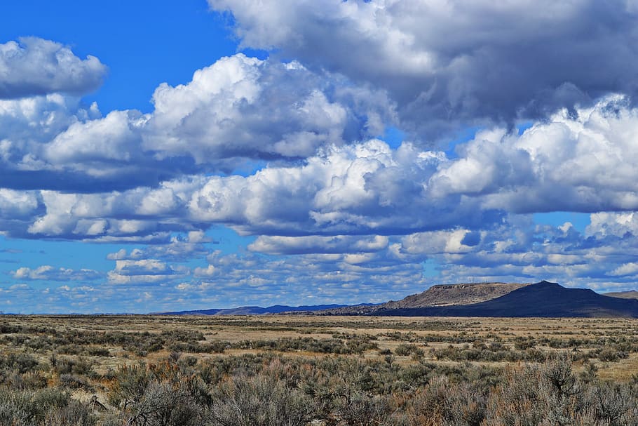 Green Field, arid, cloud, clouds, dawn, daylight, desert, dry HD wallpaper