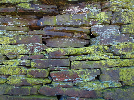 slate, wall, stone wall, rubble, plant, rock, flagstone, wood HD wallpaper