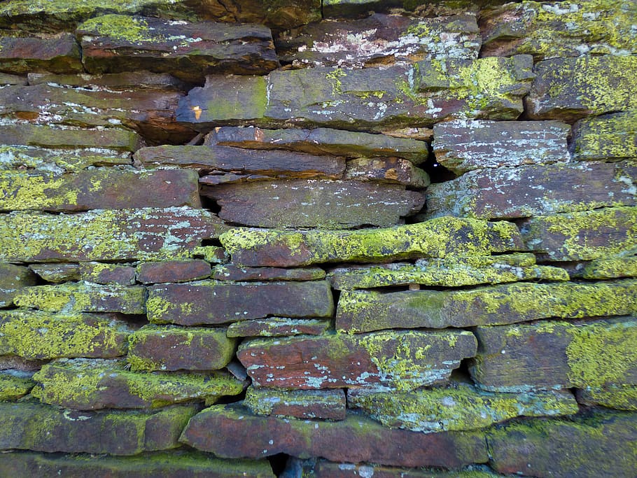 slate, wall, stone wall, rubble, plant, rock, flagstone, wood, HD wallpaper