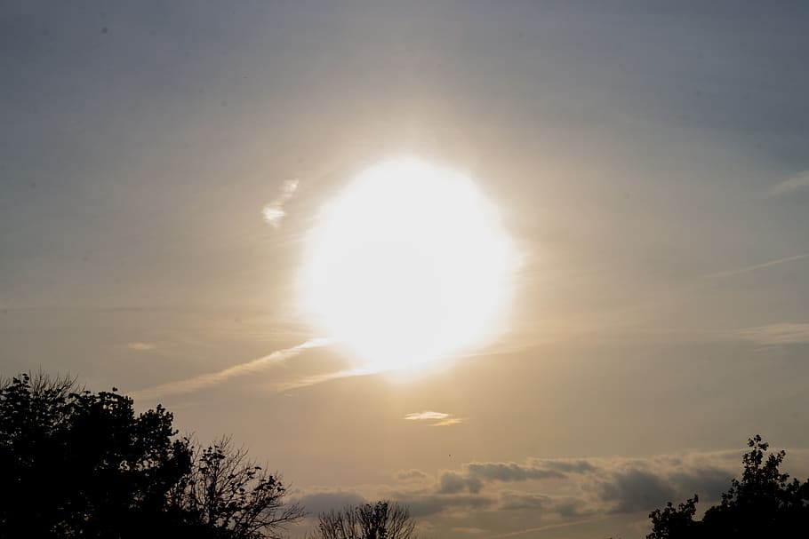 sun, sky, beauty in nature, tree, sunlight, plant, scenics - nature HD wallpaper