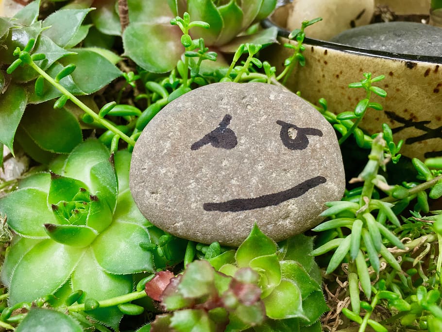 canada, penticton, face, green, sad, sculpture, painted rock HD wallpaper