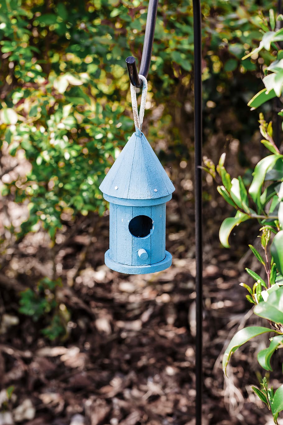 blue birdhouse, plant, no people, growth, nature, hanging, focus on foreground HD wallpaper